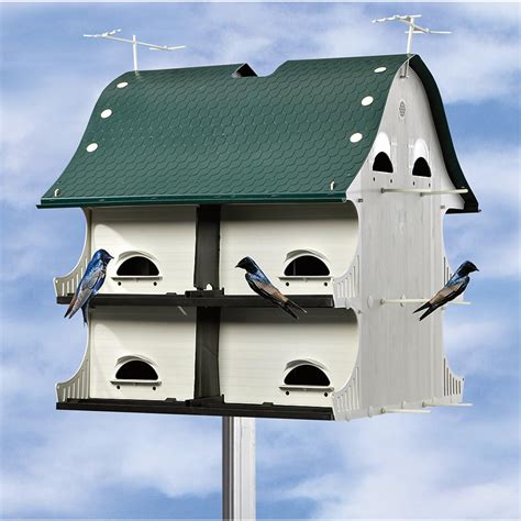 purple martin bird house